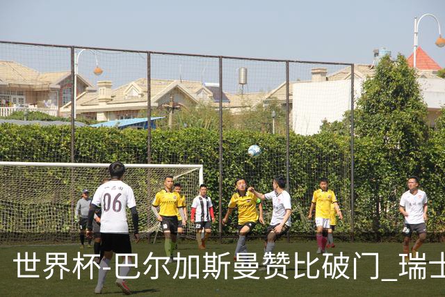 世界杯-巴尔加斯曼赞比破门 瑞士2-1加拿大小组第一