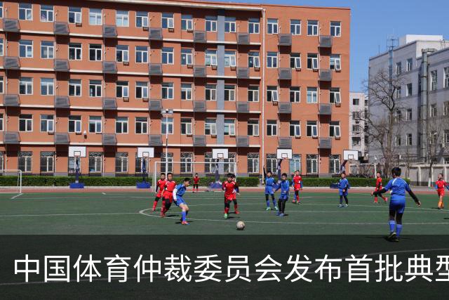 中国体育仲裁委员会发布首批典型案例