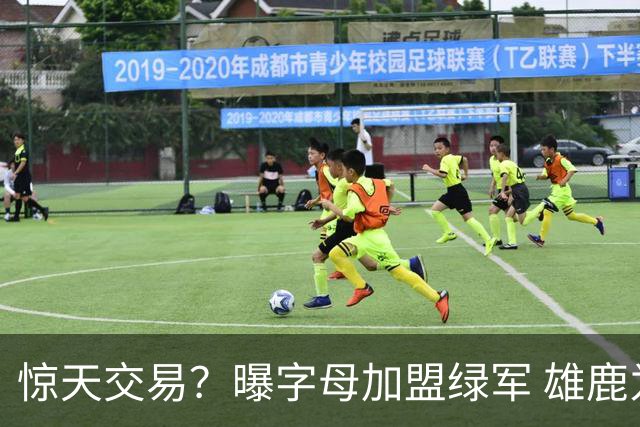 惊天交易？曝字母加盟绿军 雄鹿为布朗寻找第三方