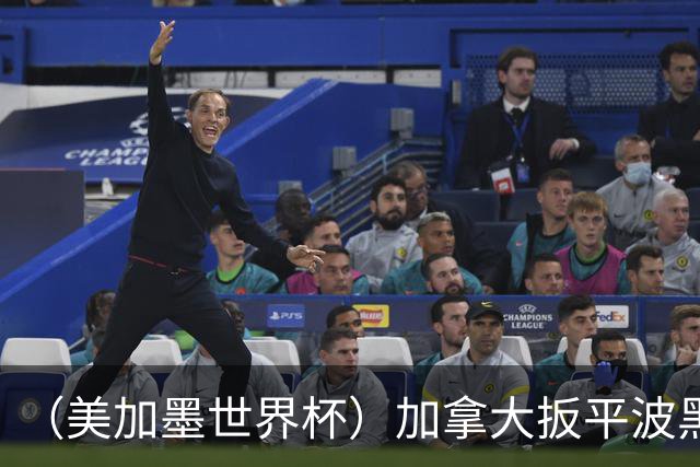 （美加墨世界杯）加拿大扳平波黑 获队史世界杯首分
