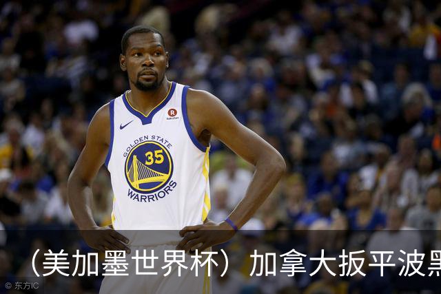 （美加墨世界杯）加拿大扳平波黑 获队史世界杯首分